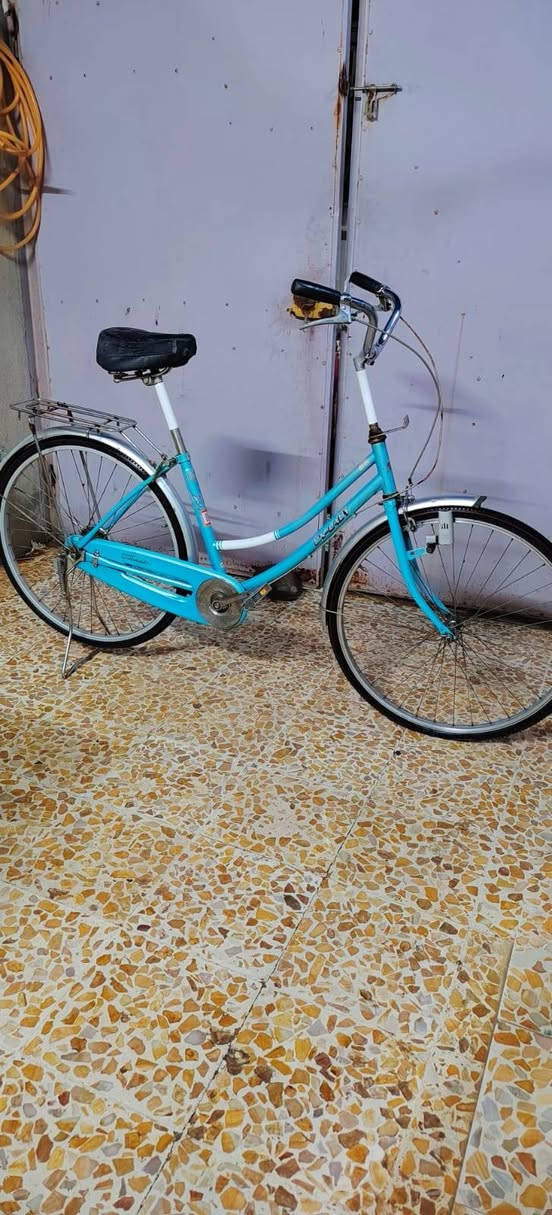 باسكل للبيع نضافه فول تايات جدد كلو شغال السعر تعال خاص المكان حي سومر حجم 26


**إذا كنت صاحب هذا الإعلان وتريد حذفه لأي سبب، رجاءا أرسل رسالة إلى الدعم الفني**