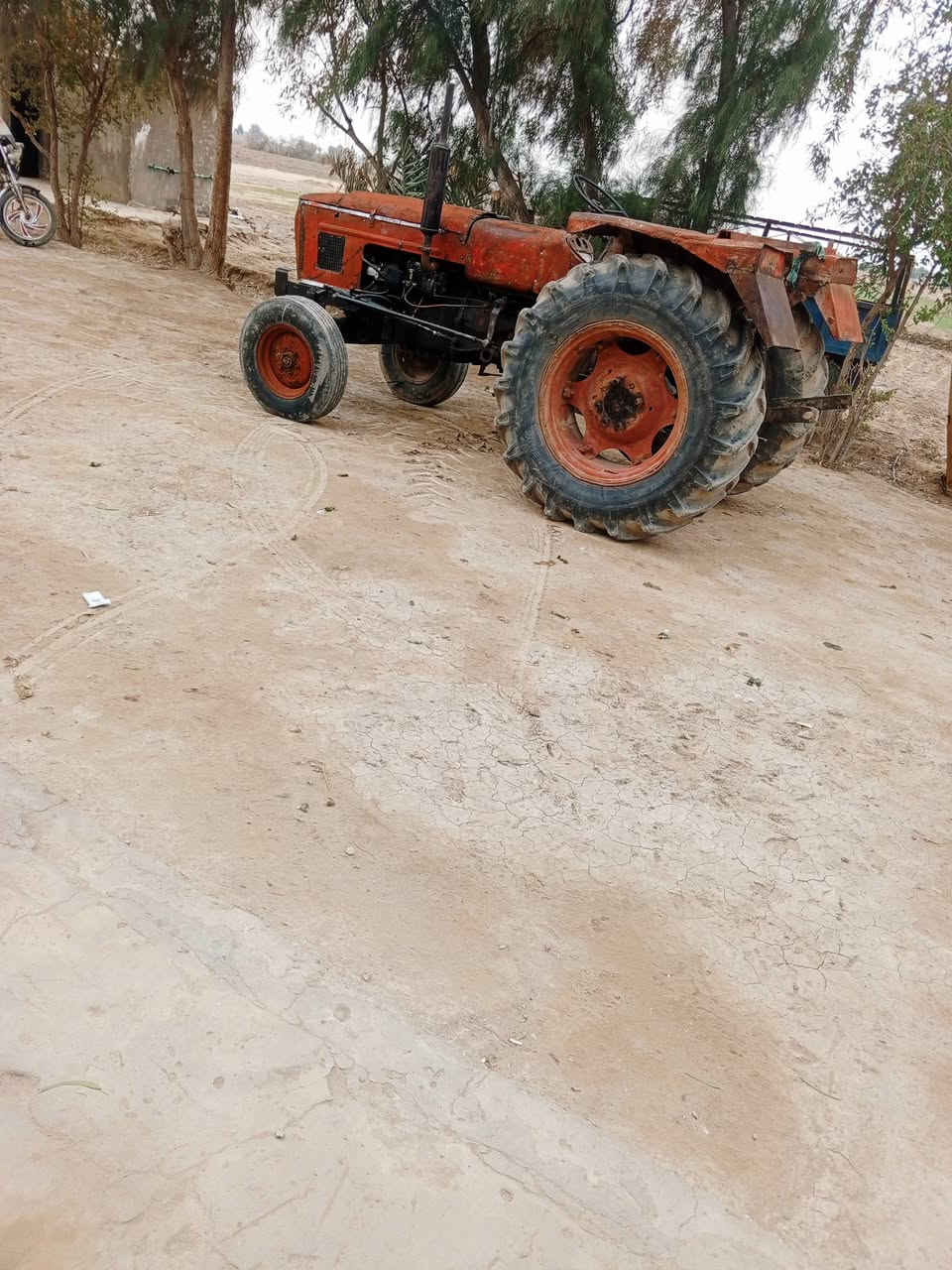 عنتر للبيع جاهز السعر 2600 وراها فدان  المو شراي لا يكسر بحلال الناس ‏‪***********‬‏
