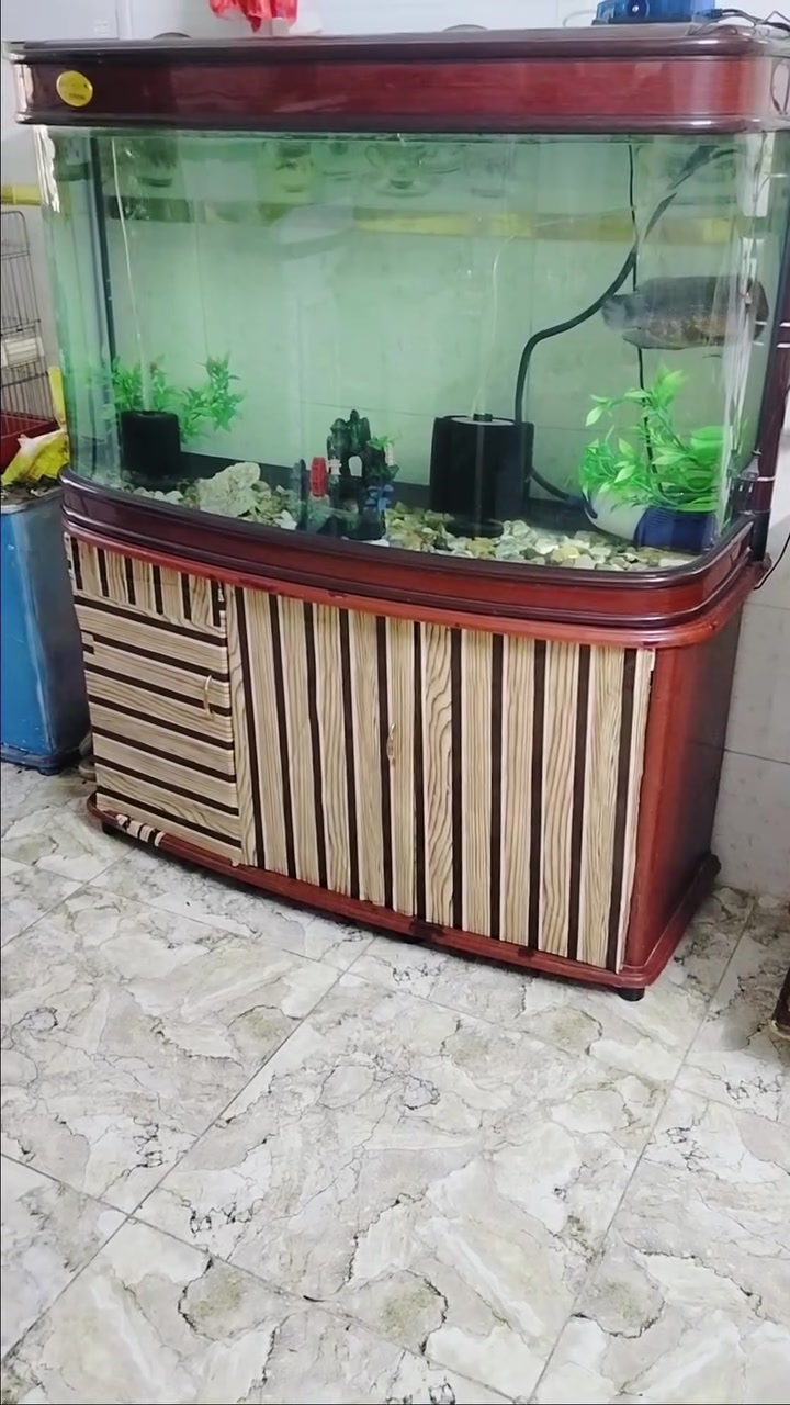 متاح احواض أسماك الزينه


**إذا كنت صاحب هذا الإعلان وتريد حذفه لأي سبب، رجاءا أرسل رسالة إلى الدعم الفني**