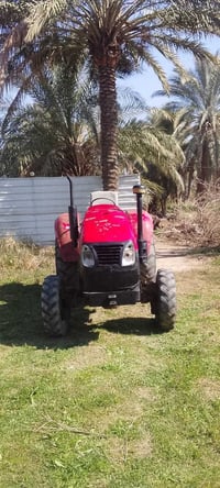 للبيع • بكينه • رفاسة