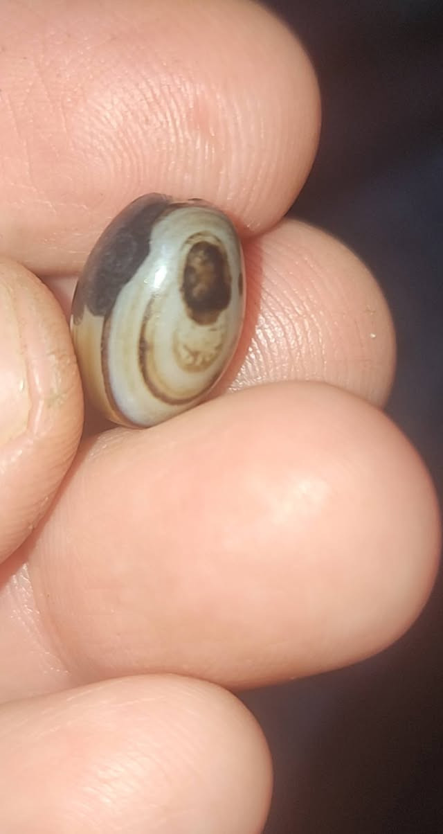 حجر جزع مصوره واضح مشكوله للبيع سعر حجر ٧٥ الف يوجد توصيل كافه محافظات


**إذا كنت صاحب هذا الإعلان وتريد حذفه لأي سبب، رجاءا أرسل رسالة إلى الدعم الفني**