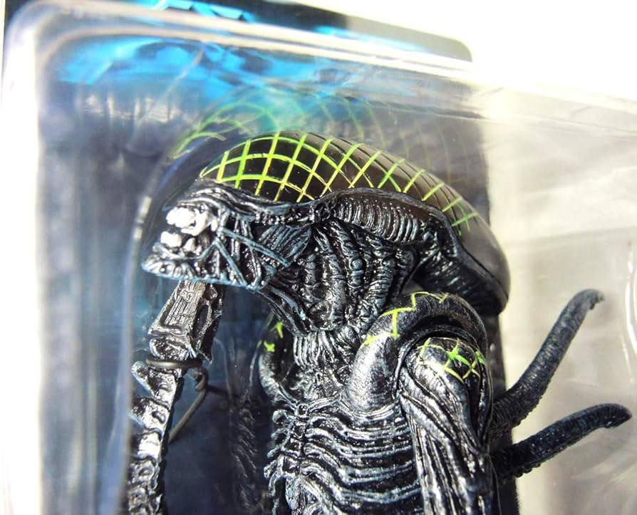 السعر 25


**إذا كنت صاحب هذا الإعلان وتريد حذفه لأي سبب، رجاءا أرسل رسالة إلى الدعم الفني**