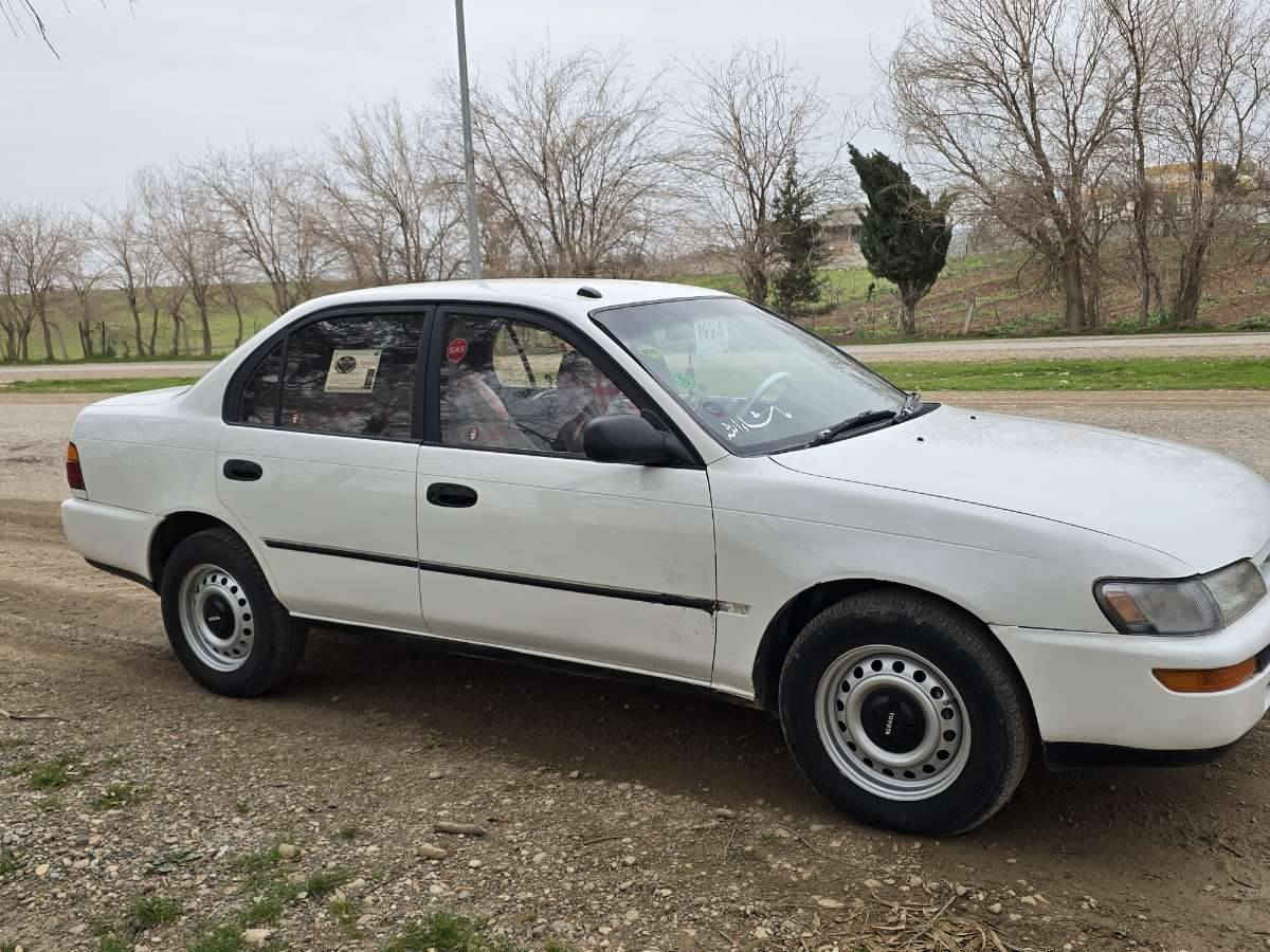 توێتا کرۆلا 1994 
گێر تۆماتیک دەعم و لێدراوی نییە بەشرت بۆیاخی نییە چوار تایە و ویل لۆک تەقە و ڕەقەی نییە چرکە و گڵایەک بشکێنە مەکینە ئەورپی لۆکم بۆ بەستووە نەکراوەتەوە بەشەرت کارەبای گشتی مەزبوتە ئاڕم پلاستیک بەشەرتی ئاڕم و ئەولیات و غەرامە 
*********** السليمانية, العراق
