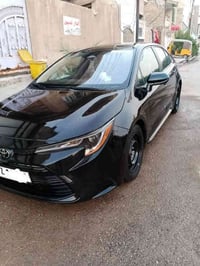 كورلا 2023وارد امريكي ضربته جاملغ اليسره وبنيد مبدل والجاملغ اليمن شبر...