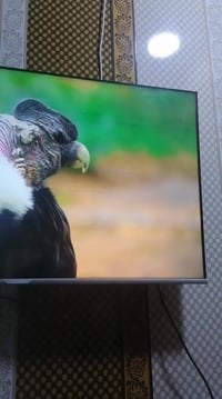 شاشة • تنومه صالحيه • شارع احمد الوائلي