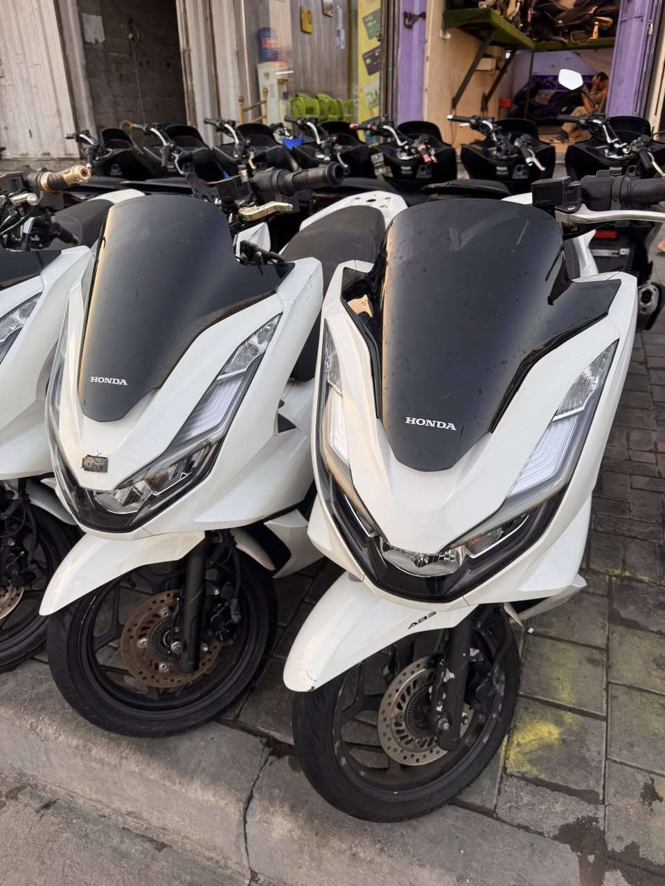 الجيل الرابع الضمان الضمان 
 شارع الفلاح قطاع ٣٠
السعر  آخو البلاش 
١٨$


**إذا كنت صاحب هذا الإعلان وتريد حذفه لأي سبب، رجاءا أرسل رسالة إلى الدعم الفني**