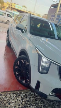 سورنتو • ٢٠٢٥ • ٦ سلندر