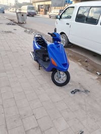 دراجة فراشة • نظيفه • قضاء الصادق