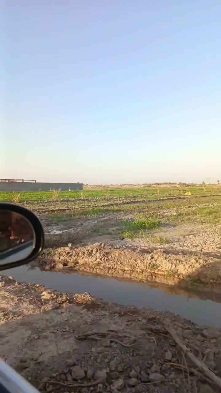 السلام عليكم دوانم طابو زراعي سند 25ابو غريب عشره مناصير تصلح سكن وشاليهات ***********واتساب
