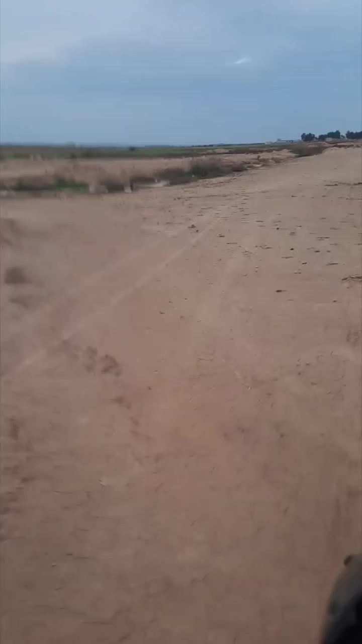 لعيون عشاق جاوة 350


**إذا كنت صاحب هذا الإعلان وتريد حذفه لأي سبب، رجاءا أرسل رسالة إلى الدعم الفني**