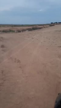 جاوة ٣٥٠ • ٣٥٠ • كلاسيك