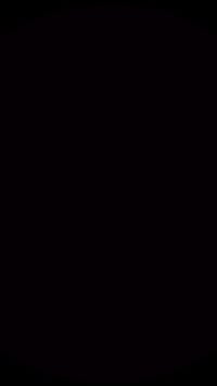 منظومة ستلايت • ليون • واير 20م