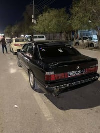 بنجوين • السليمانية