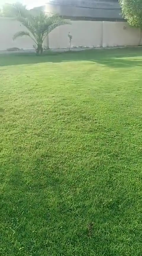 سلام عليكم  مكينه ثيل اكبر اجم قياده بانزين امريكيه مال باله شغله جيد المكان بغداد، تجي وكص بيها عل الفحص السعر 250


**إذا كنت صاحب هذا الإعلان وتريد حذفه لأي سبب، رجاءا أرسل رسالة إلى الدعم الفني**