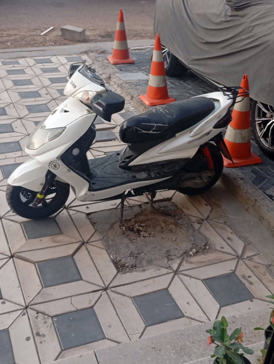 سكنس فحل كابريتر كفالة عامه ممفتوحه خرسه تشتغل هندر واحد صبح مراوس بلد حتلو مجفته او فحل نوزل طلاعات


**إذا كنت صاحب هذا الإعلان وتريد حذفه لأي سبب، رجاءا أرسل رسالة إلى الدعم الفني**