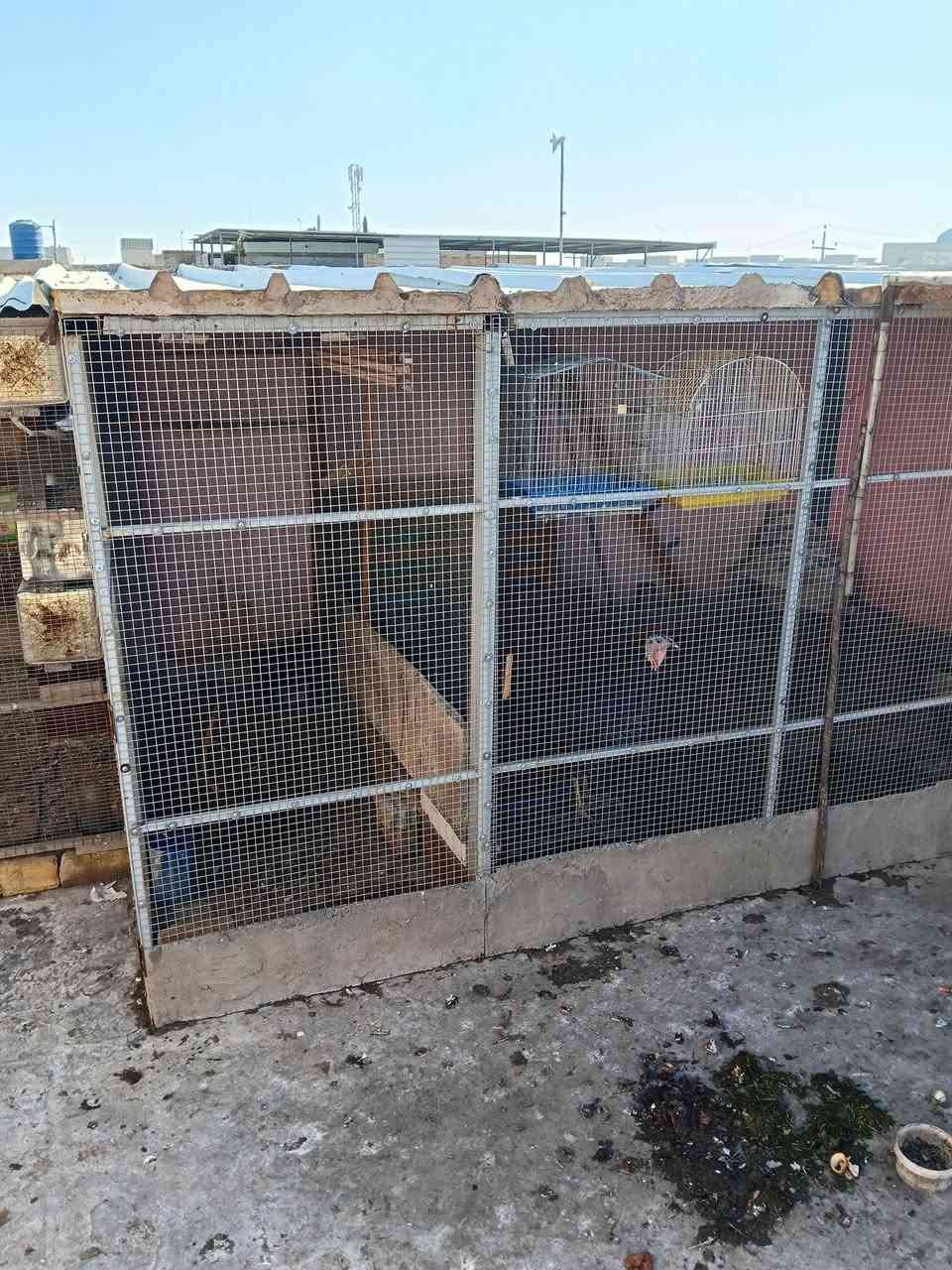 سلام عليكم 
محميه جبيره. السكف سندويج بنل
الطول 4 متر
النزال 2 ونص
البرارسي الثقيل مغلون
بيه قاطع بيبان ثنين
المكان نجف 
***********
#الجميع
