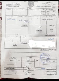 جزيرة النجف • ٢٠٠متر • شارع ١٢