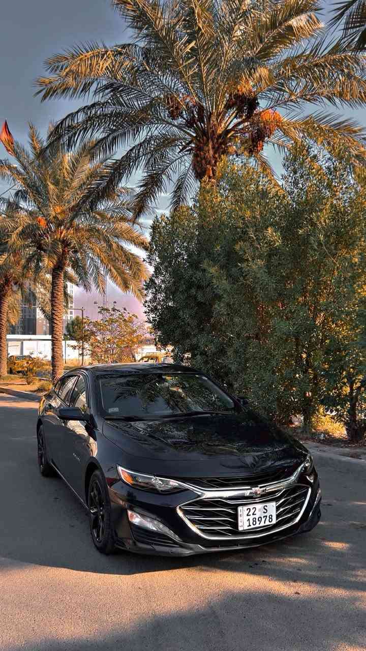 بيع أو مراوس بكورلا هايبرد
السلام عليكم للبيع ماليبو موديل 2023 رقم اربيل رقم وهزه جديد وارد امريكي صبغ ربع دعاميه خلفيه فقط وبارد كد شبر يم بكلايت فقط باقي سياره كفاله بجم كبس كير ومكينه وتبريد وحداديه كفاله سياره جديده كلش مواصفات سياره LT

رادارات

تحديد مسار

شاشة كبير

داخل اسود

كشن كهربائي

تشغيل عن بعد

تحكمات

هاند بريك بصمة

كشن هيتر

ستيرن هيتر

ستيرن كهربائي 

تبريد خلفي

ويل رياضي

رادار خلفي

كامرة

مثبت سرعه

وباقي المواصفات المعروفه

مكاني بغداد الدوره السعر 135وبيهه مجال

اي ستفسار اتصل وتدلل رقمي

‭***********
