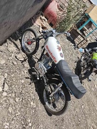تعمير جديد • صارله يومين • ديوانية البدير
