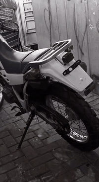 السلام عليكم دراجه قفاز يوماها
محرك ربع
دراجه نضيفه
اخت جديده
دراجه خير من الله
سعر مليونين
ولشراي بيه مجال بسيط كلش
الرقم ***********
