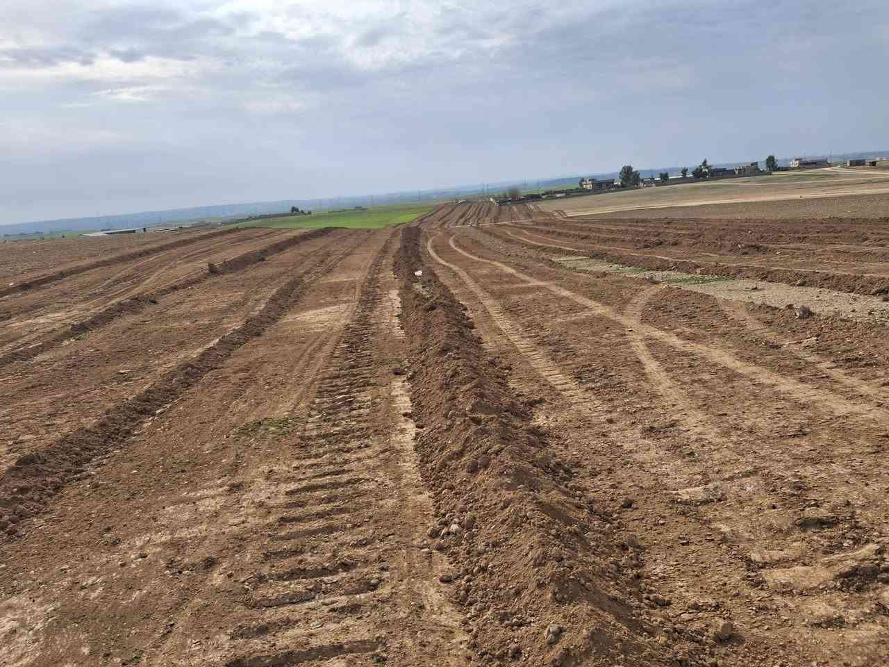 على بركة الله
♦️  متوفر وفقط على مجسر كركوك _ الموصل 
 الحولي المدينه ( الجسر السابع ) 

 ♦️ الموقع : قزفخرة مقاطعة 31 بعد سيطرة دوميز  قريب من 
 سايدين كركوك

♦️  1 _  متوفر دونم مباشر على الحولي 
       2 _ متوفر نصف دونم قريب من المكان 
       3 _ متوفر  16 دونم على الحولي قريب من سايدين كركوك
       4 _  متوفر 11 دونم ايضا على الحولي 

♦️ شرط البيع التحويل معا سندات جديده سند 
  ابيض 25 (جديد) 

♦️ لاستفسار خاص او  الانتصال 
       *********** 🌹
