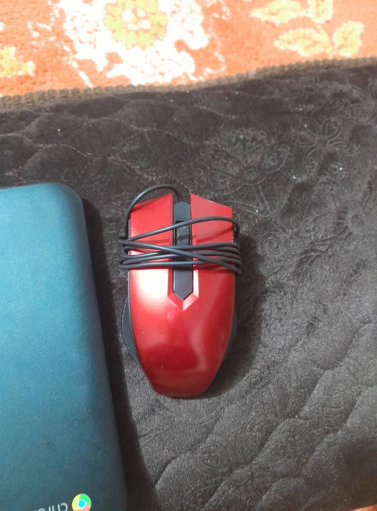 السلام عليكم
للبيع حاسبه وجهاز استنساخ نوعيات hp ثنينهن والحاسبه مع ماوس اصلي وشاحنه بلاديه السعر خاص مكاني فلكه فرسان العلم للستفسار فقط متواجد واتساب ***********
