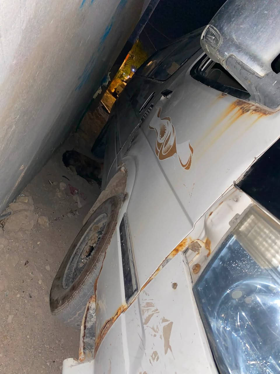 سلام عليكم كيه فتون مديل 14رقمه ذي قارالماني سنويه ضايعه بيه كتاب بدل ضايع راعيه بل بصره بس ما اندله مكينه حلو كير حلو كهربايات كامله سعر 20وبيه مجال مكان بصره مطيحه رقمي ***********
