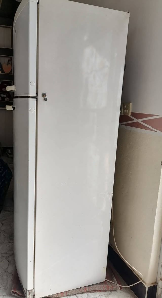 ثلاجه حجم الكبير نوعية بيكو مداخله تصليح

فول تجميد السعر 150
العنوان ديالى الخالص سعدية الشط


**إذا كنت صاحب هذا الإعلان وتريد حذفه لأي سبب، رجاءا أرسل رسالة إلى الدعم الفني**