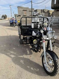 ستوته • مديل ١٥ • أوراق اصولي