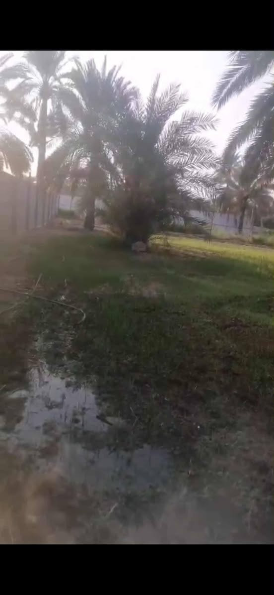 سلام عليكم (توجد) ارض للبيع (دونم ونص) في منطقة التويثه قرب سيطرة القاضي الوجه ٤٤والنزال ٨٢ متوفر كهرباء ماء أسأله مع كرفون كبير غرفة ومطبخ وصحيات وشارع خاص الها فقط ومسياجه بل كامل  ***********        ***********
