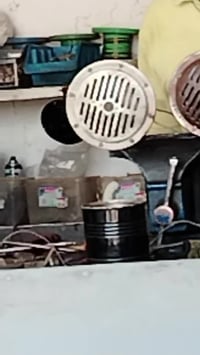 اريد ابيع هو نات بوش أمريكي وياباني على الكناني البيض البيع مامتواجد ع...