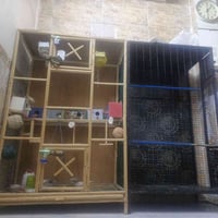 اقفاص • لواحد • غزاليه