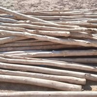 ٦٠ زوج • قفله ٥ • تقاطع مياح