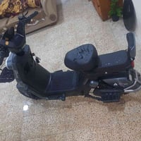 ماطور • حجم ١٤ • الزنجيلي