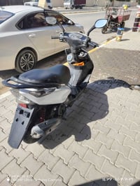 جيتي ار • ثعلب • ٢٠٠٦