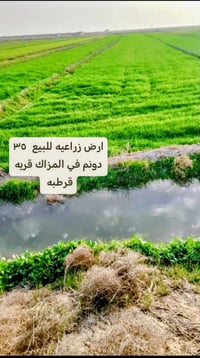 المزرك قريه قرطبه • ٣٥م • للبيع