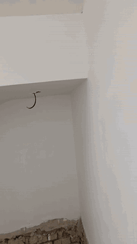 كادر جص وبورك شغل مرتب ونضيف وسرعه بلعمل  مبيت بنفس الموقع العمل
*********** اتصل وتدلل
