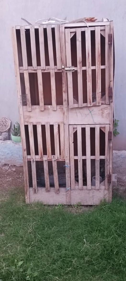 متاح خانه مزدوج سعرها 25


**إذا كنت صاحب هذا الإعلان وتريد حذفه لأي سبب، رجاءا أرسل رسالة إلى الدعم الفني**