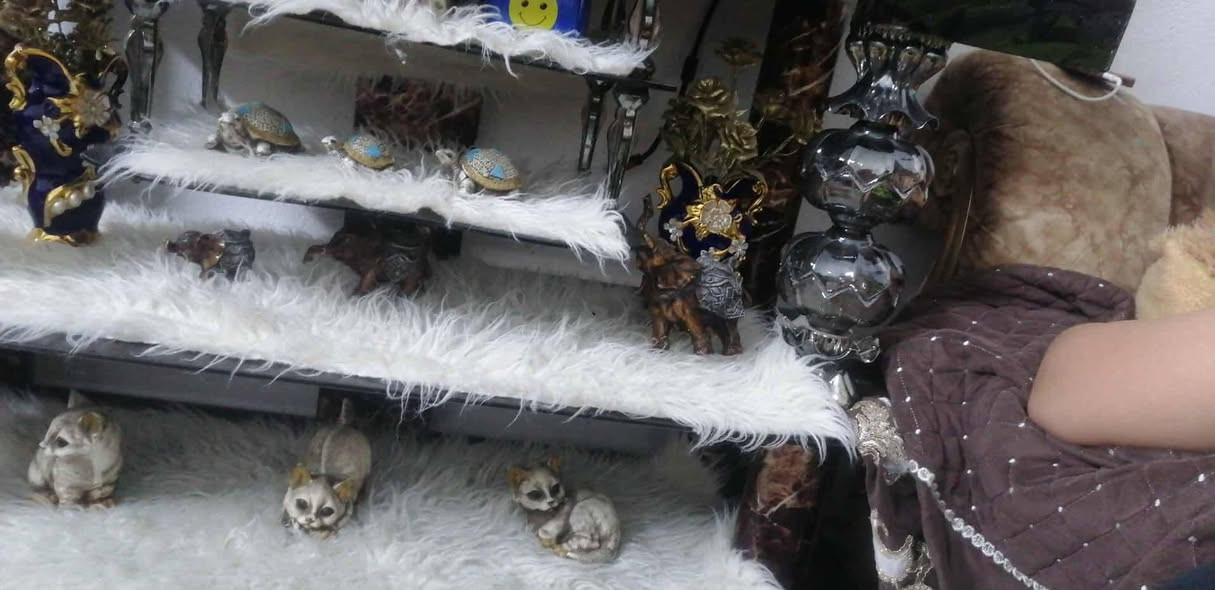 ميز للبيع السعر 25


**إذا كنت صاحب هذا الإعلان وتريد حذفه لأي سبب، رجاءا أرسل رسالة إلى الدعم الفني**