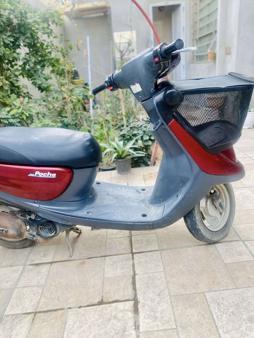 منغولي جداً نظيفه جاهزه كهربائيات وحدادية بعدها على وضع المعرض السعر 650 العنوان حي البلدية مقابل حي النقيب *********** متوفر واتساب
