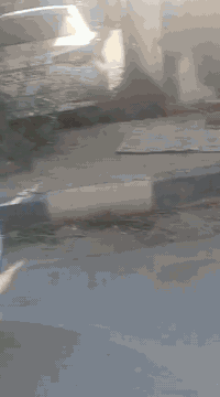 كيا سيراتو ٢٠١٢ محرك ١٦٠٠ كير مكينه شرط كفاله عامه من صبغ من تبديل فقط مكان بارد ومكان كارت مواصفات فول عدا البصمه هزه رقم باسمي ماشيه ١٩٠ تخم تاير صدر كله جديد ادامها عامه على منضومه البانزين كله جديد مكانها واسط نعمانيه سعرها ١١٧ وبيها مجال تصال فقط
***********
