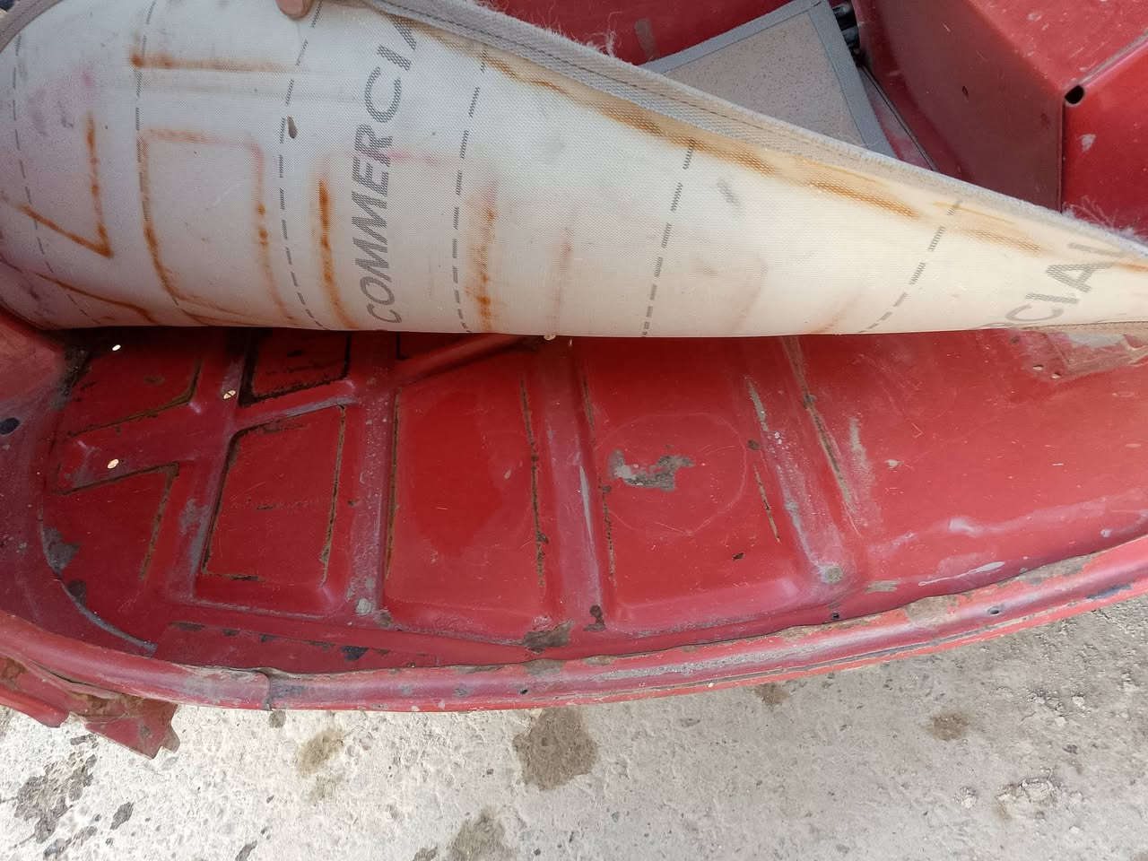 تفاصيل بل صور
