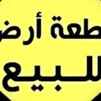 القوسيات • ١٢٠م • سند٢٥