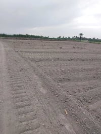 طابو زراعي • اللطيفية شاخة ١ • واجه ٤٠م