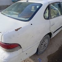 افلون • ١٩٩٥ • ورقة