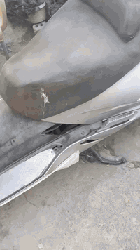 فورزة 06 سويج  حساس ازدحام جداحه بل جكمجه ستان حساس كلوب جنطه كهربائيا...