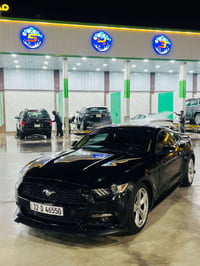 موستنك • ٢٠١٥ • حادث صبغ عام