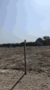 حله ورديه • ٤٠٠م • طابو زراعي