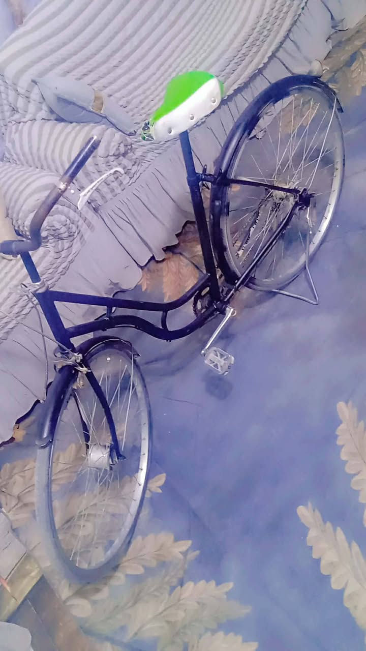 باسيكل حجم 26لبيع40


**إذا كنت صاحب هذا الإعلان وتريد حذفه لأي سبب، رجاءا أرسل رسالة إلى الدعم الفني**