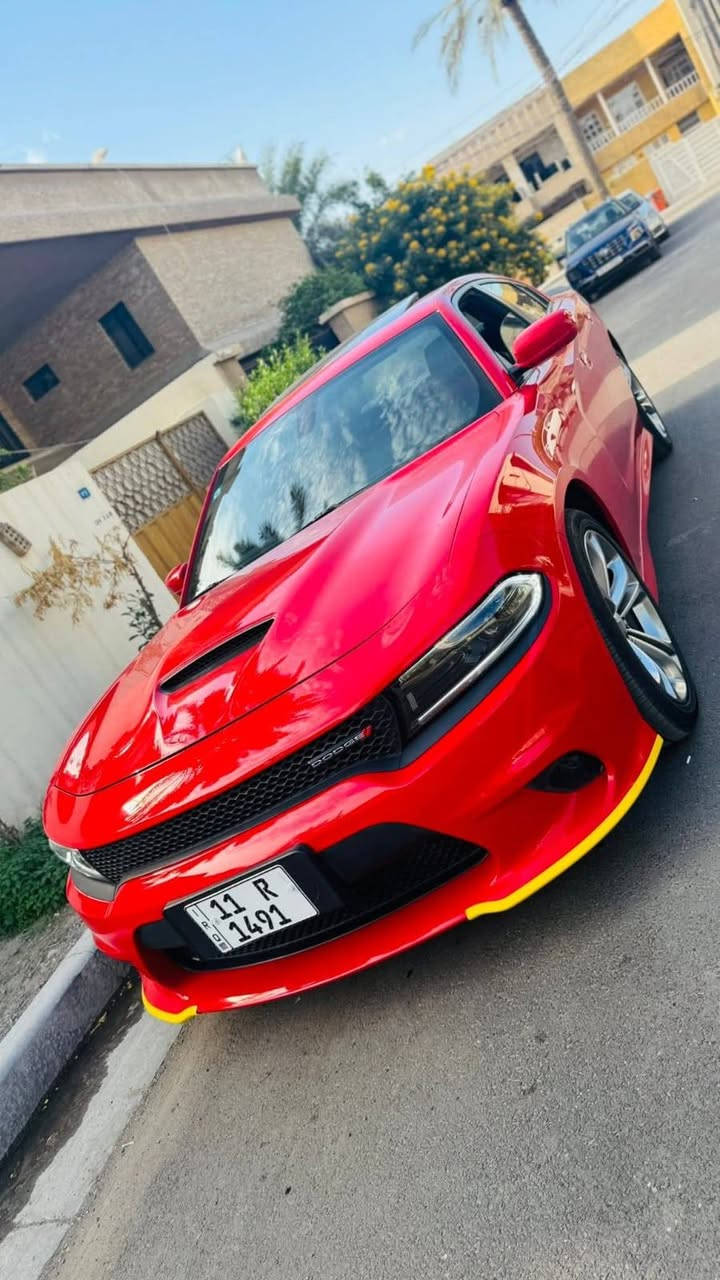 السلام عليكم جارجر جي تي 2022 فول مواصفات خليجي وكالت هارلم رقم بغداد مميز 
ه ضمان كفالة عامة من الشخط والصبغ والبارد والرصعة
سيرفس كامل بالشركة جديدة بمعنى الكلمة ماشية 24 الف رقم
مميز فتحة بصمة كشنات خزن سستم صوت كن حار بارد كشنات
جلد كهرباء شاشة كاميرا حساسات رادار جانبي خلفي كروس سرعة وباقى المواصفات معروفة السيارة ا السعر 305وبيها مجال
للاستفسار ***********
